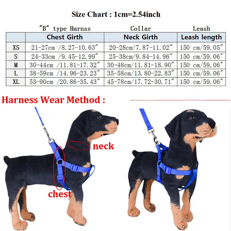 CHANEL Coco Mark 06P Leash Collar for Small Dogs Black Leather w/Box